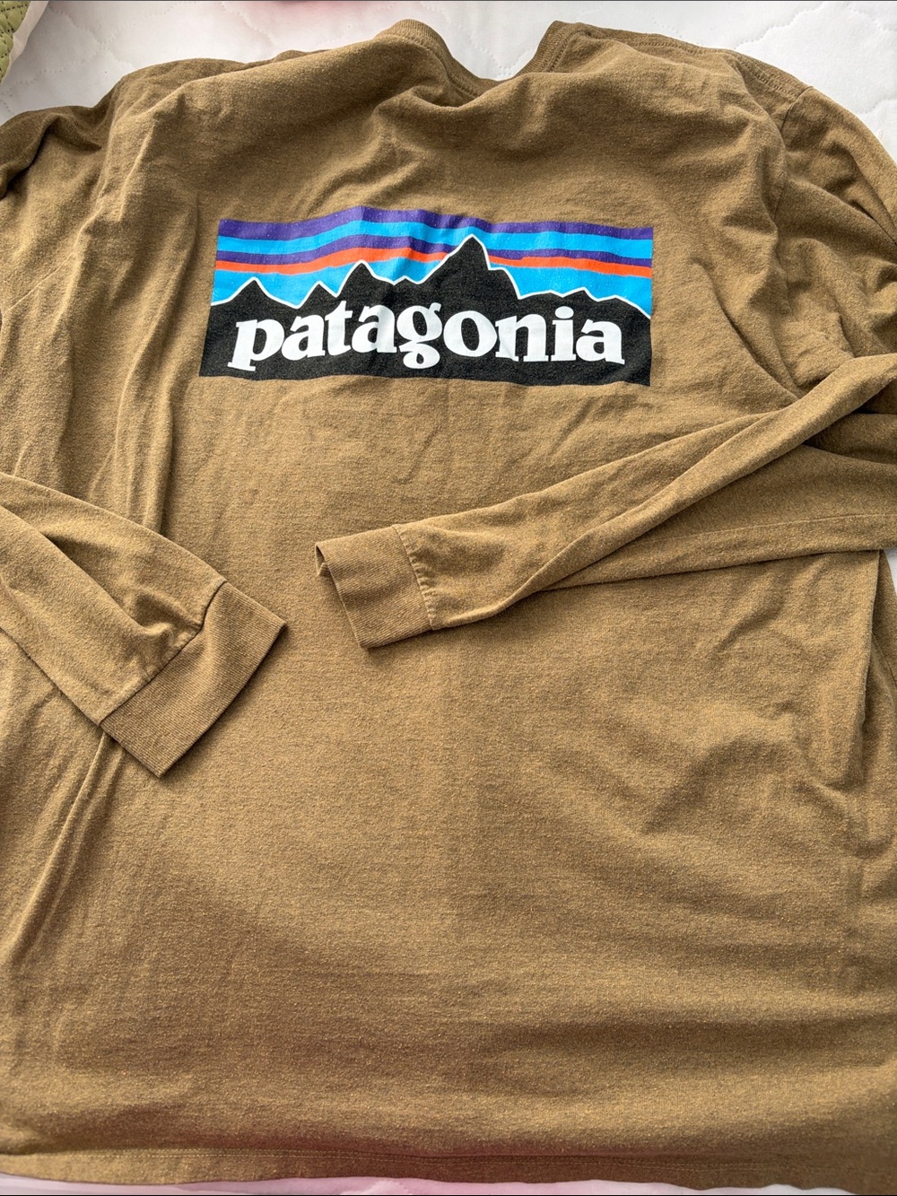 Patagonia Brown Long-Sleeve Logo Tee with Multicolor Mountain Graphic
